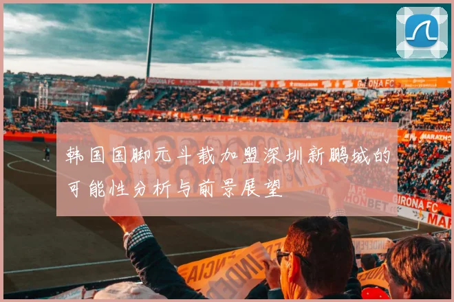 韩国国脚元斗载加盟深圳新鹏城的可能性分析与前景展望